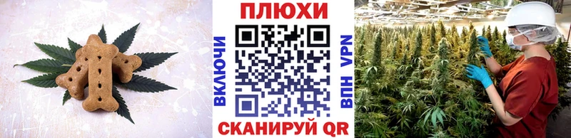 omg ССЫЛКА Димитровград Canna-Cookies марихуана