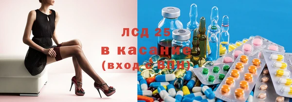 индика Абаза