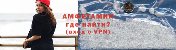 индика Абаза