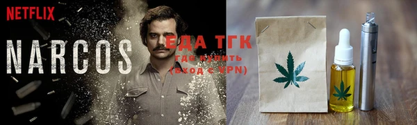 индика Абаза
