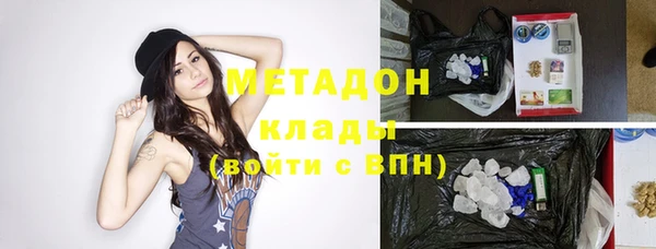 индика Абаза