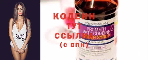 индика Абаза