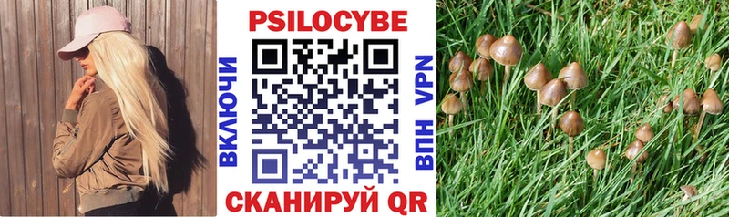 Галлюциногенные грибы Magic Shrooms  Димитровград 